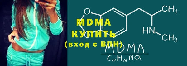 шишки Горняк