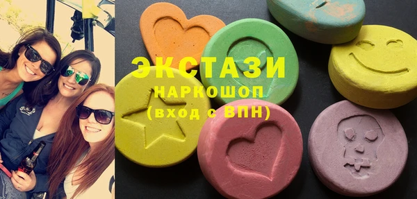 шишки Горняк