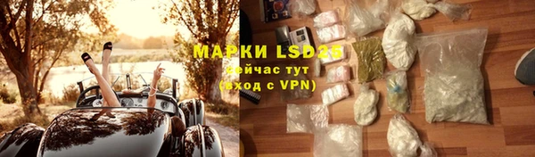 шишки Горняк