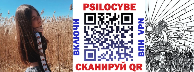 kraken зеркало  Сасово  Псилоцибиновые грибы Psilocybine cubensis 
